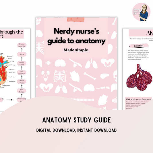 Anatomy Ebook (digital download)
