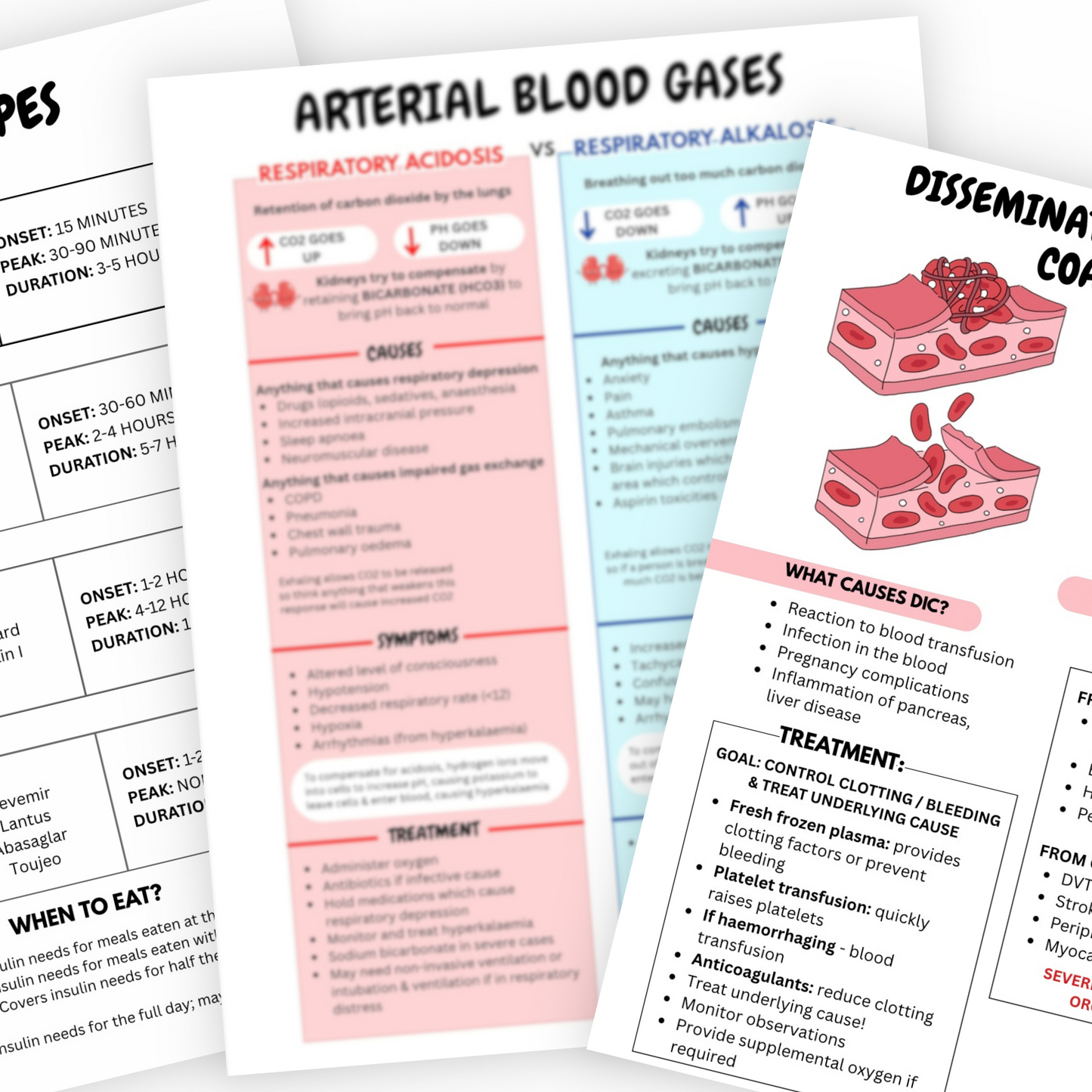 Nursing study guide digital download