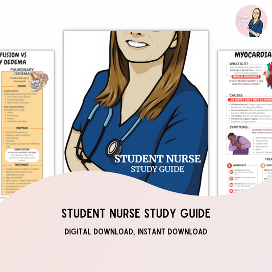 Nursing study guide digital download