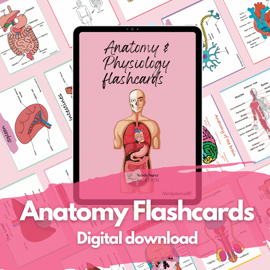 Anatomy & Physiology Flashcards - Digital File