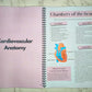 PREORDER: Anatomy study guide