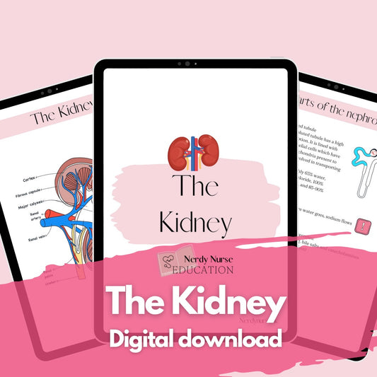 The kidney cheat sheet digital download