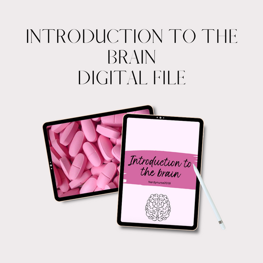 Introduction to the brain - Digital File
