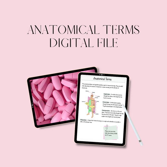 Anatomical Terms - Digital File